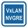 VxLAN Termination